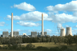 australia future energy debate - aela callan pkg
