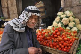 Palestinian old man farm produce