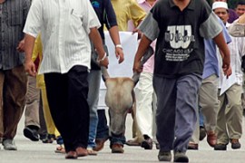 Malaysia cow head protest