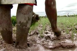 philippines scheme for poor farmers youtube - divya gopalan pkg