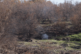 la mancha wetlands smoke trees