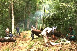 malaysia borneo deforestation youtube first person diweng bakir