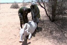 Africa drought