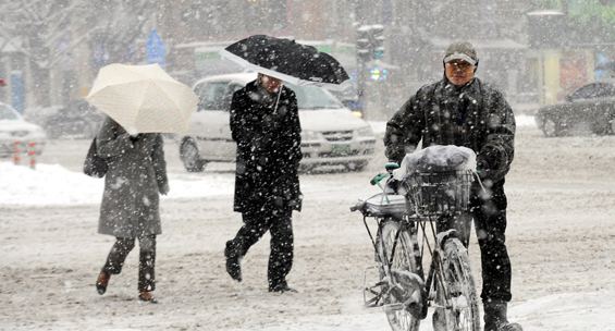 PICTURE GALLERY - SNOW IN SOUTH KOREA