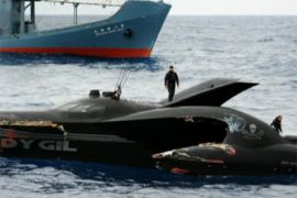 japan whaling standoff