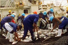 papua new guinea tuna fishing cartel youtube - laura kyle pkg