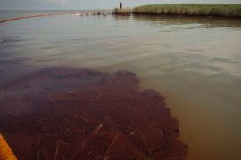 Oil spill in the Gulf of Mexico reaches the louisiana march and wetlands