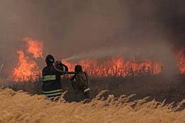 Fire fighters struggles with a blaze near the village of Kustaryovka, Ryazan region, Russia