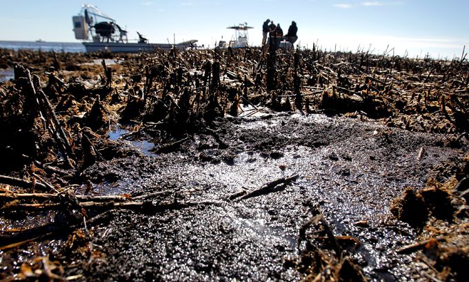 Months After BP Oil Spill, Gulf Coast Still Suffering Effects