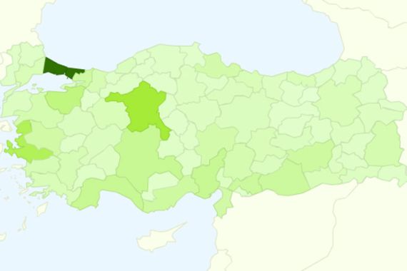 Turkey MP