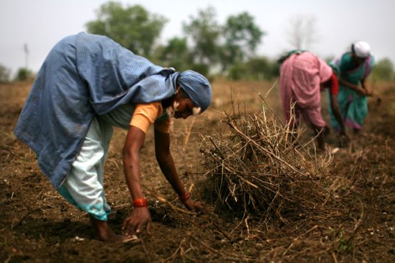 Indian women farming