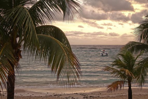 Palm trees wave in front of the sea and a boat, Jamaica