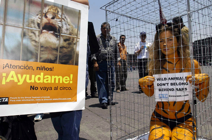 Mexican drug lords enjoy exotic 'narco zoos' | Human Rights | Al Jazeera