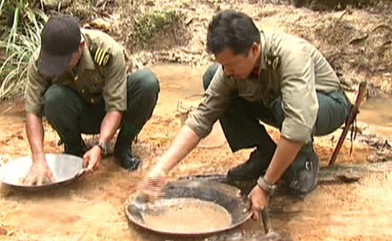 Illegal gold mining ravages Malaysia forest