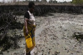 Niger Delta Oil Spill