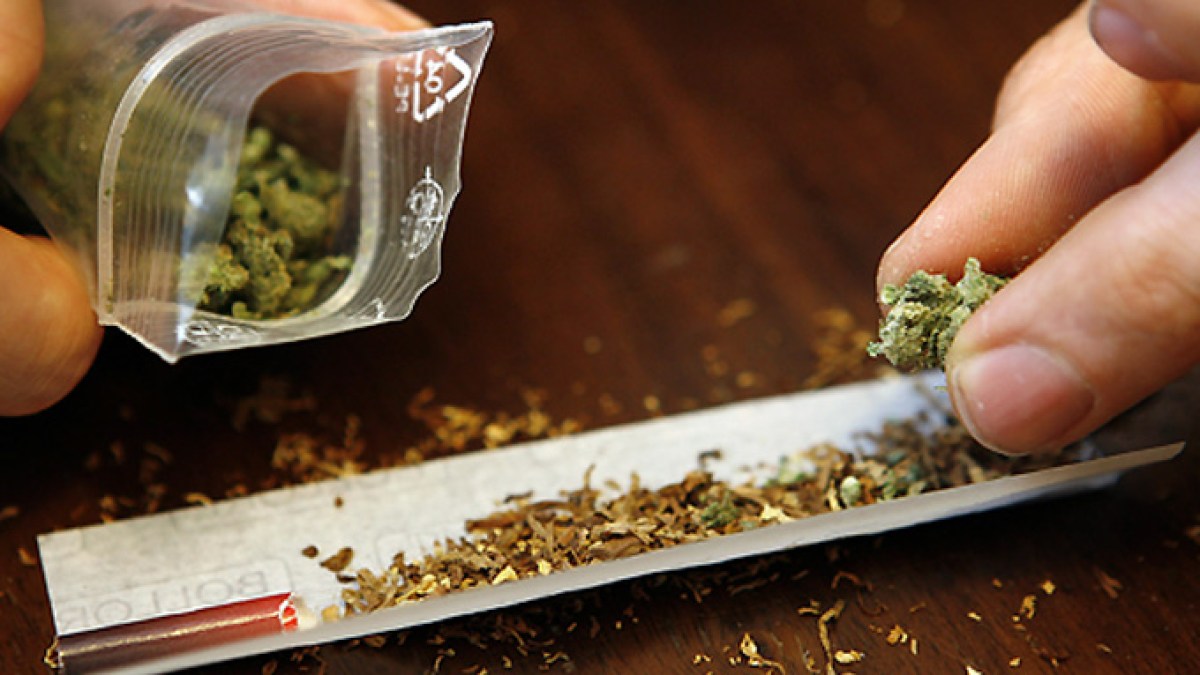 Netherlands plans to ban 'strong cannabis' | News | Al Jazeera