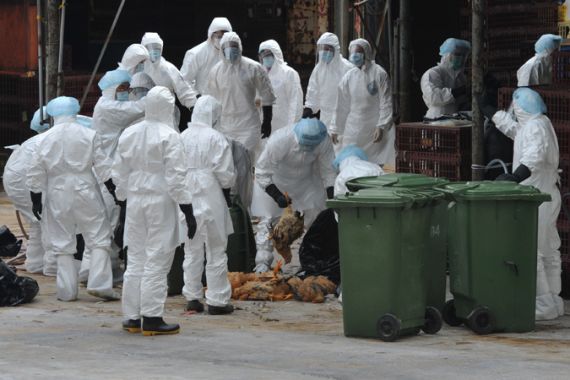 Scientist says engineered bird flu threat overrated