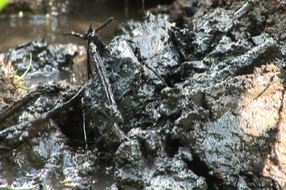 Ecuador oil spill chevron package screengrab