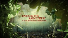 The Fight for Amazonia - Raids in the Rainforest