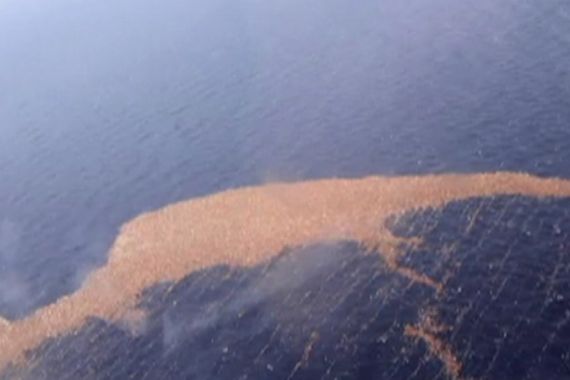 Debris field in Pacific Ocean