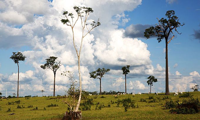 brazil-peru border farming agriculture land-clearing amazon