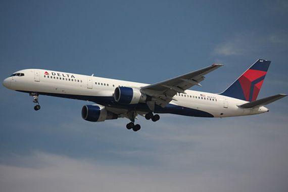 Needles found in Delta airlines meals