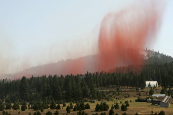 Wild fires rage in western US