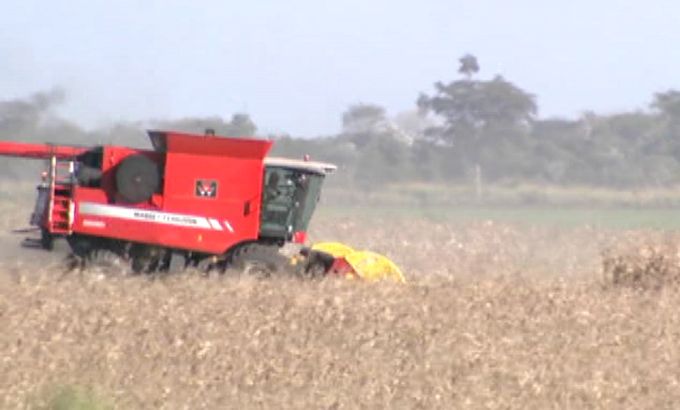 Argentinians await ruling on crop pesticides