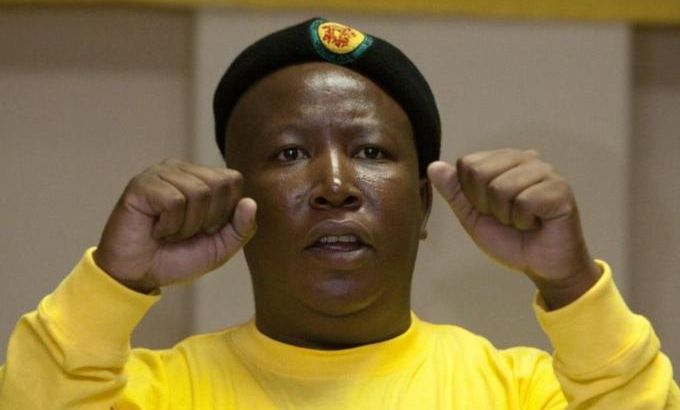 South Africa Julius Malema expelled from the ANC