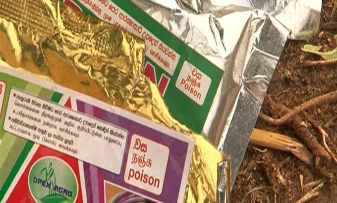 Kidney disease in Sri Lanka linked to chemicals