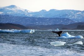 Fault Lines - The Fight for the Arctic