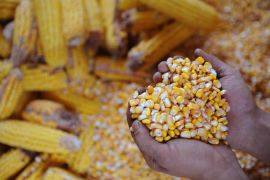 Inside Story - The politics of global food security