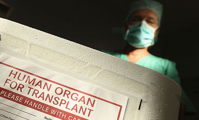 people & power - the organ traders