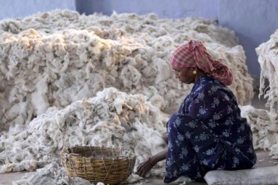 India cotton exports