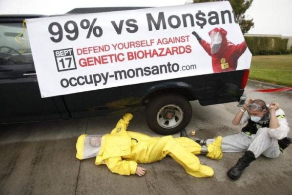 File photo of protesters against Genetically Modified Organisms chained to a vehicle as they block a delivery entrance to a Monsanto seed distribution facility in Oxnard