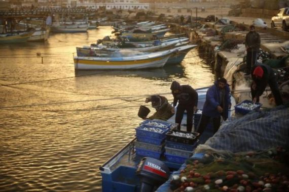 Palestinian fishermen sort boxes containing fish at Gaza Seaport in Gaza City