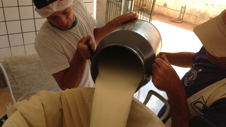 Milk in Brazil