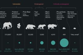 CITES infographic still