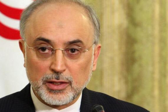 Iranian Foreign Minister Ali-Akbar Salehi speaks during a press conference