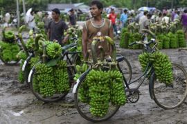 Indian farmers transport bananas for sale at Darangiri banana market