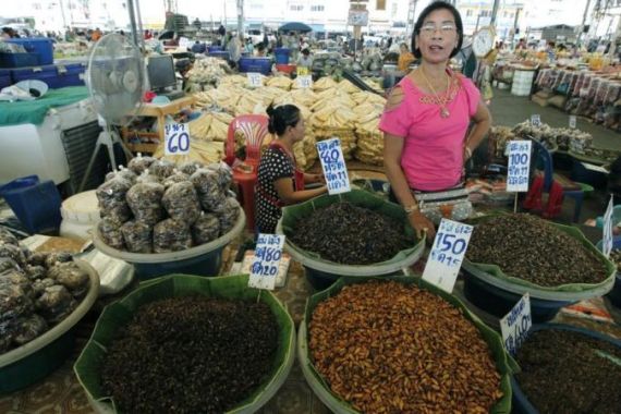 Insects creep in to Thailand''s mainstream markets