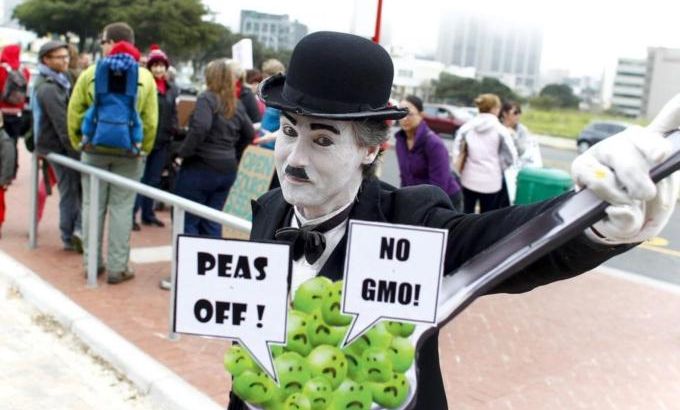 Anti Monsanto protest in Cape Town, South Africa