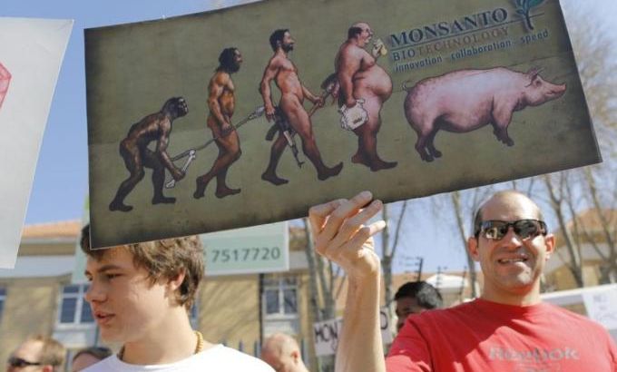Anti Monsanto protest in Cape Town