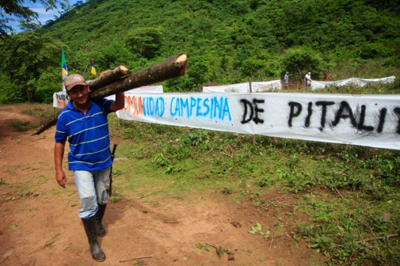 Colombian rural farmers return