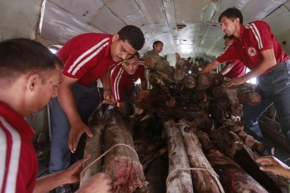 Volunteers unload wood from a truck to be used for mass cremation at Kedarnath at an airport in Gauchar in the Himalayan state of Uttarakhand