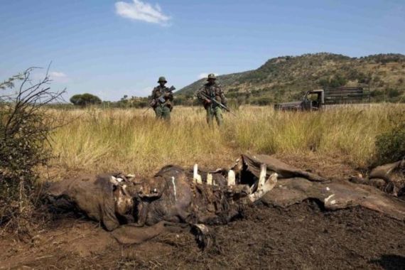 File of members f the Pilanesberg National Park Anti-Poaching Unit stand guard as conservationists and police investigate the scene of a rhino poaching incident in South Africa