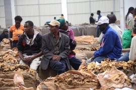 Zimbabwe food crisis