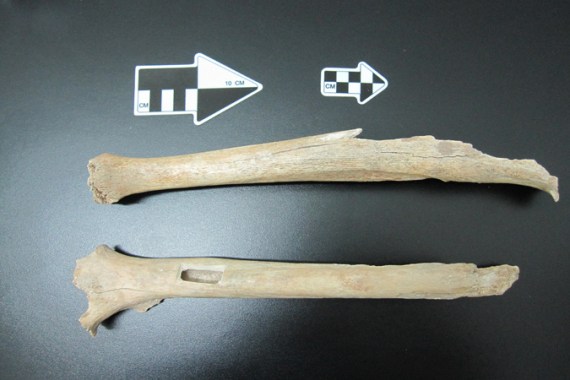 Chinese 40,000 year old remains (article image)