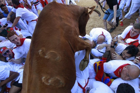 A fighting cow leaps over revellers upon entering the bullring