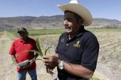 The Mexican countryside has suffered under the free trade agreement with the US [Reuters]